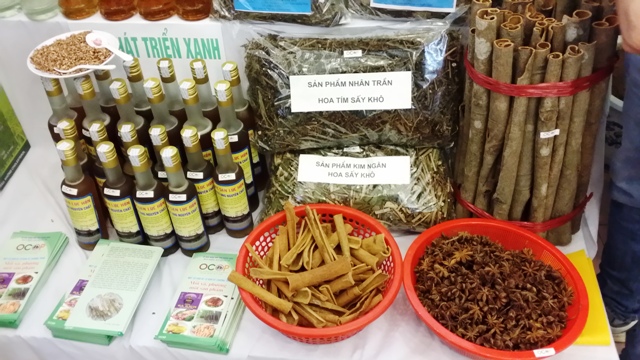 Khơi dậy tiềm năng lớn từ cây dược liệu tại Việt Nam